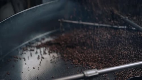 Roasted Coffee Beans Poured From Roasting Machine