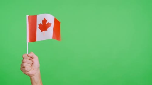 Hand Holding Canadian Flag on Green Screen