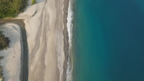 Relaxing Calm Ocean Waves on Sandy Beach