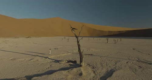 Aerial view of desert landscape with sand dunes, Namibia.