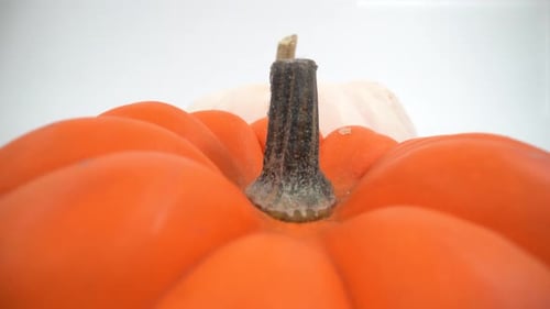Orangenkürbis auf isoliertem 4K