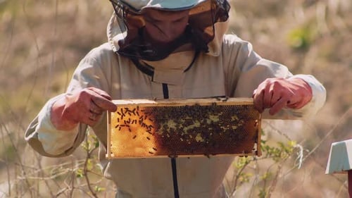 Young beekeeper in a protective suit holding a honeycomb full of bees and honey.