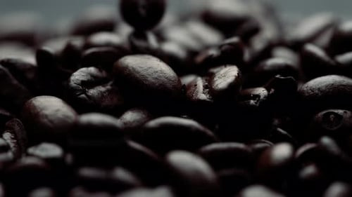 Close up of falling dark roasted coffee beans, slow motion