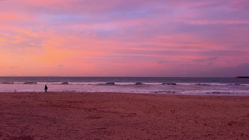 Scenic Wide Shot of the Beach Featuring a Distant Person Walking a Dog