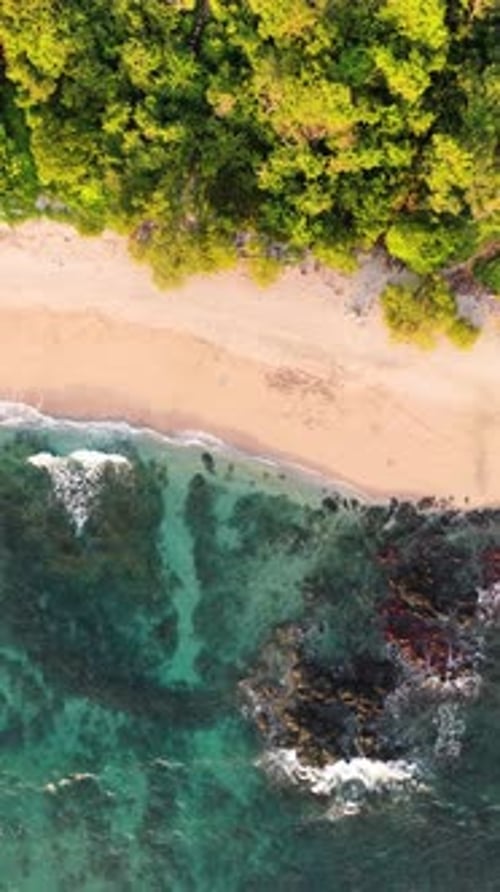 Aerial Top Down View of Tropical Beach with Turquoise Water Vertical