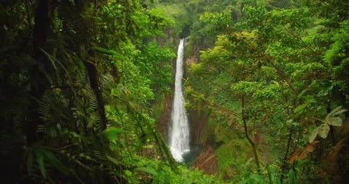 Slender tall waterfall plunges down a cliff face framed by dense bright tropical vegetation