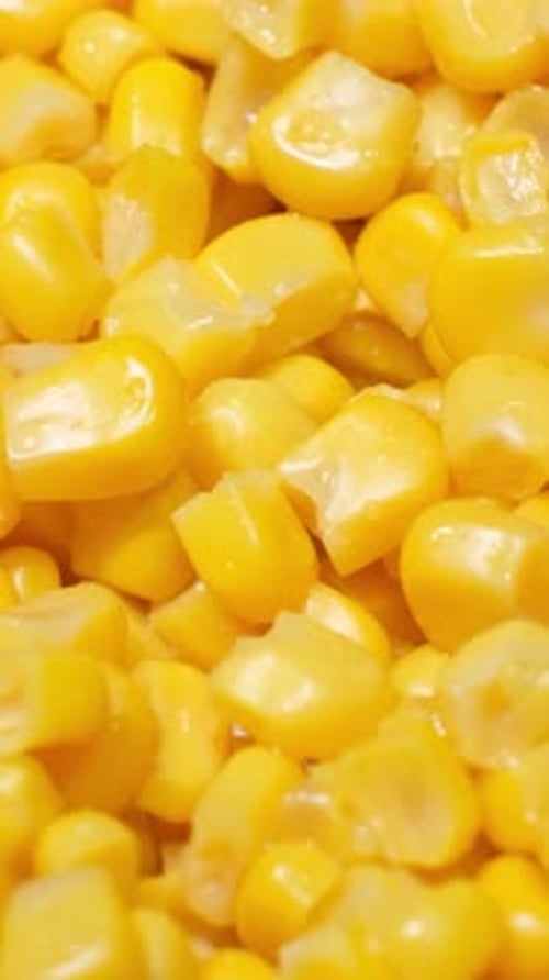 A Close Up of a Pile of Corn on the Cob