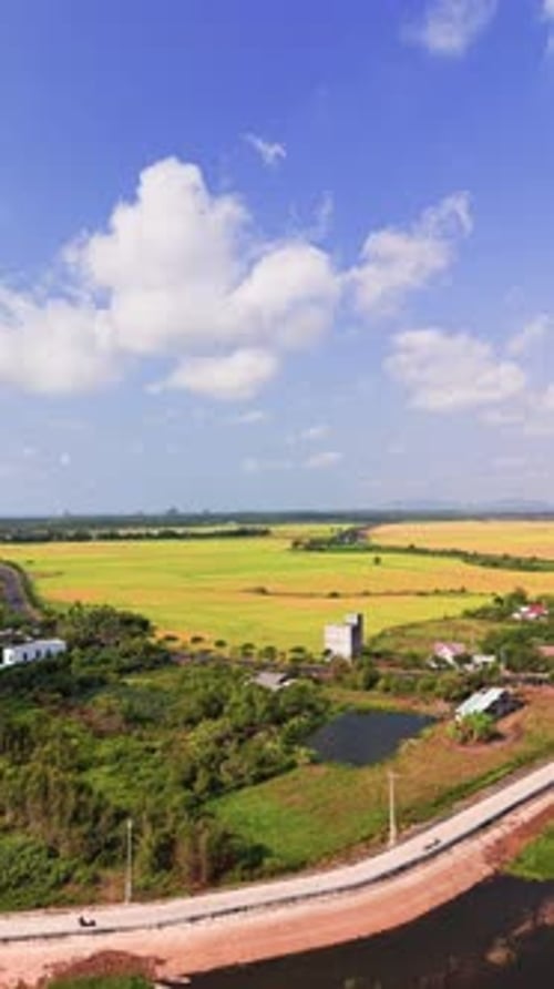 Explorez Ho Song Kinh à Vung Tau, au Vietnam, en montrant les champs et l'eau le long de la route. Regardez le
