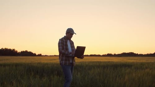 Landwirt mit einem Laptop vor einem Sonnenuntergang, landwirtschaftlicher Landschaftsmann auf einem ländlichen Feld