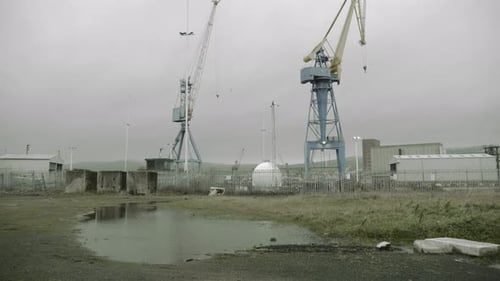 Sich nähernde große Pfützen reflektierende Kraniche