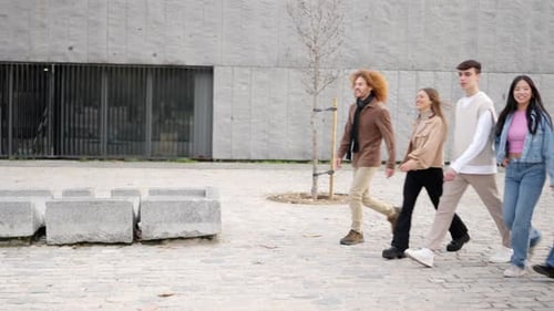 Multiethnic Students Chatting and Walking Along the Campus