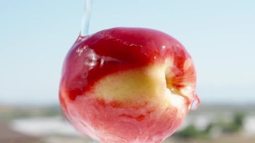 Nectarine rotates against the background of blue sky, water pours on it, slow-motion close-up