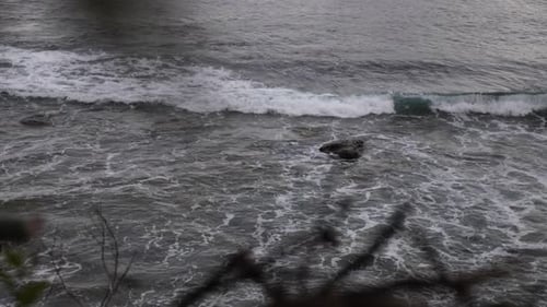 Zeitlupe der Tiefseewellen, die an der Küste über einen kleinen Felsen mit Ästen rollen