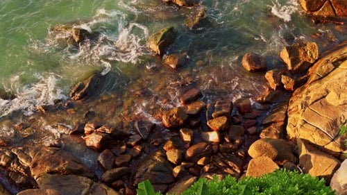 Waves of Sea and Rocky Coast at Sunset Palm Trees Azure Water Tropical Trees