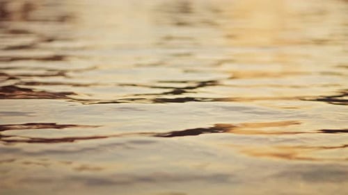 Nahaufnahme der ruhigen Wasseroberfläche eines Sees bei Sonnenuntergang. Reflexion des goldenen Sonnenlichts über dem Fluss