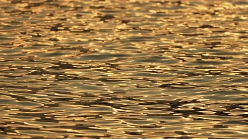 Blurred Golden Sea at Sunset with Shifting Focus and Bokeh Effect Sun Reflects and Sparkles on Waves