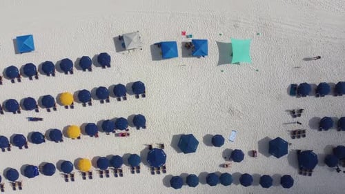 Miami Florida Aerial view Beach service chairs and umbrella at the beach resort in Destin, Florida.