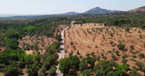 Luftaufnahme der Landstraße in Portugal