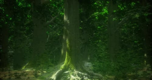 Dense Green Forest with Towering Trees and Vibrant Foliage Near the Ground