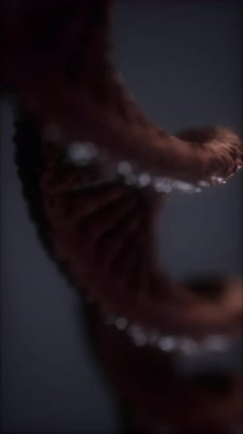 Animated Rotating DNA Double Helix for Science and Medical Projects