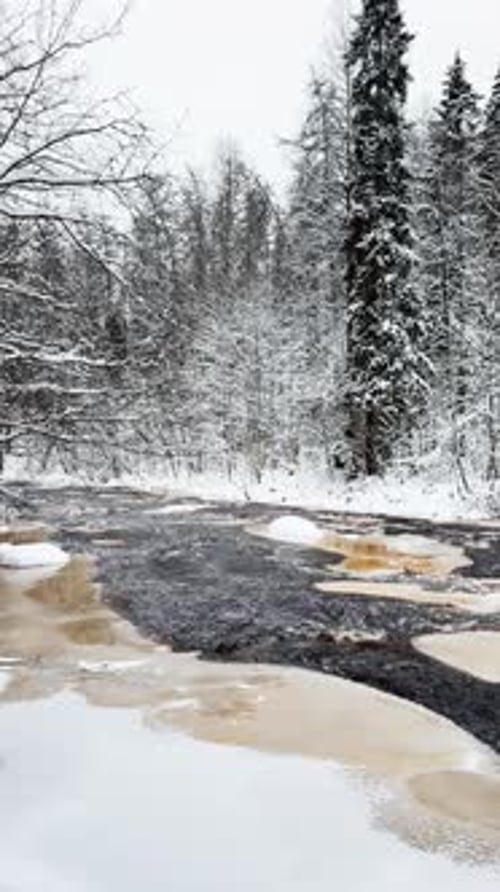 Lindulovskaya Grove an Ecological Trail a Calm Winding River in a Snowy Forest Trees Under the Snow
