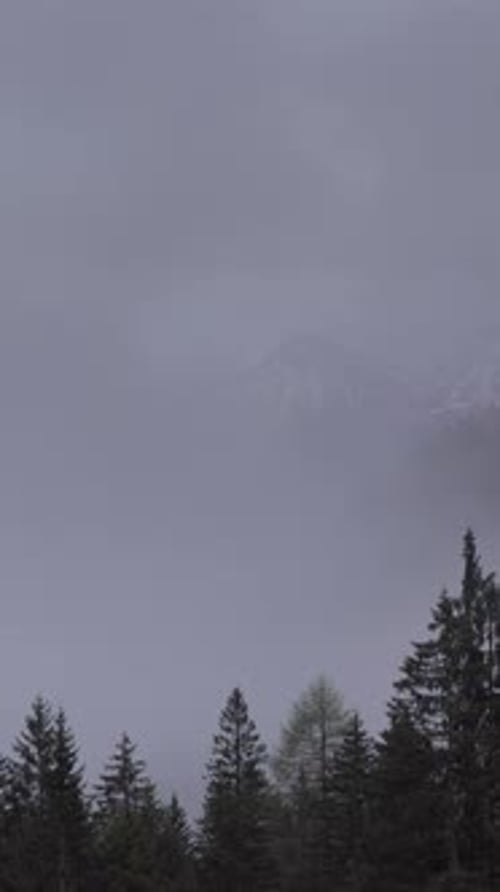 Mountain alps landscape with trees in fog clouds