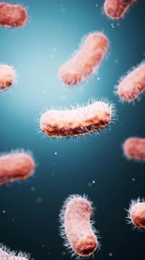 Microscopic biomedical bacteria structure