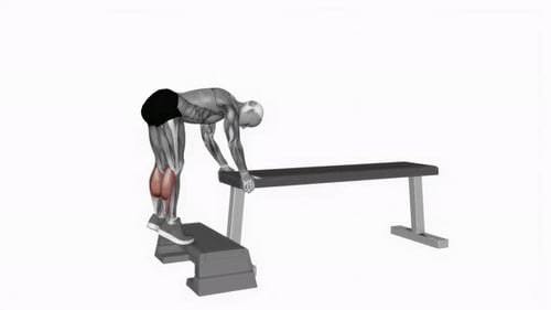 Animated Calf Raise Exercise with Muscle Anatomy Highlight