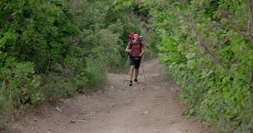 Male Hiker Trekking Through Forest Path with Backpack and Poles Active Lifestyle and Outdoor