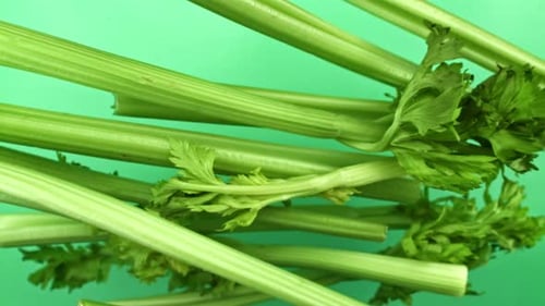Fresh Celery Soars Up Against a Light Background Filmed on a Highspeed Camera at 1000 Fps