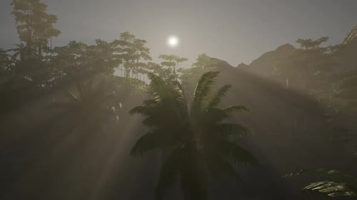 Sun Shining Through Trees in Forest