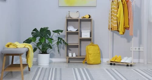 Différents vêtements accrochés à un support, accessoires et baskets à l'intérieur, caméra se déplaçant vers le haut