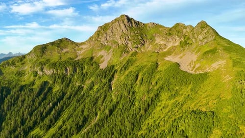 Aerial view of mountain with green trees, United States.