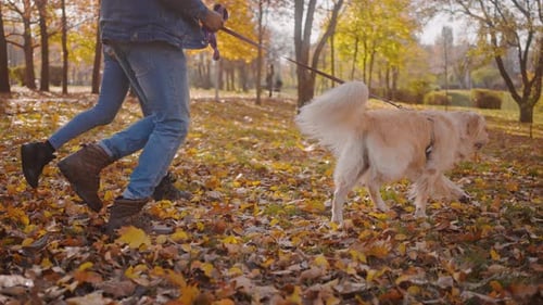 Man and Woman Choose Public Park Lawn to Run Walking Dog