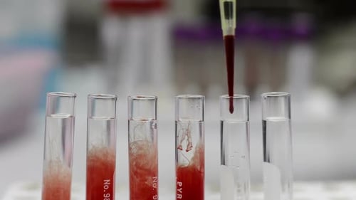Blood Being Added to Test Tubes in Lab