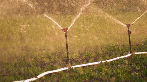 Field Irrigation 4k
