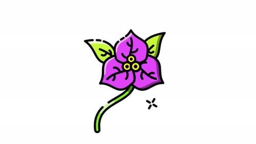 Animated Flat Design Flower Icon Loop