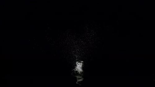 Fluid Dynamic Particle Splash Reveal