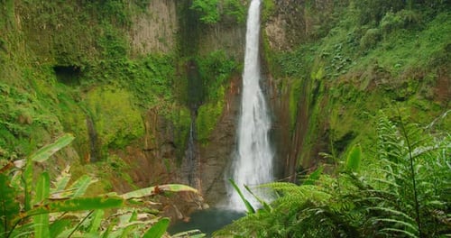 Tall rainforest waterfall in Costa Rica surrounded by vibrant green cliffs, Catarata del Toro