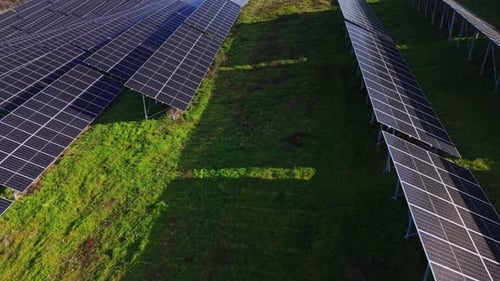 Solar energy panels in a field under clear blue sky
