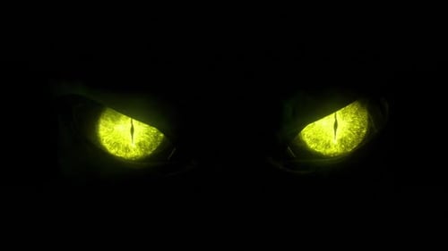 Yeux de monstre