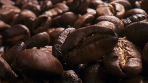 Close Up of Shiny, Brown Coffee Beans