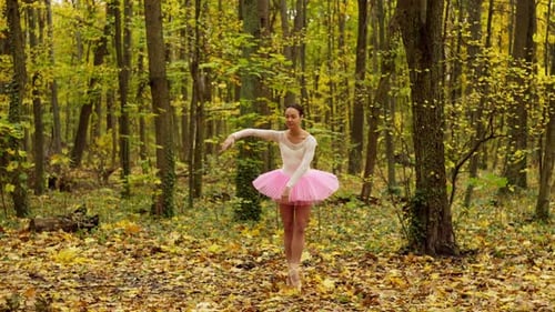 Alone in the Autumn Forest a Woman Dances Ballet