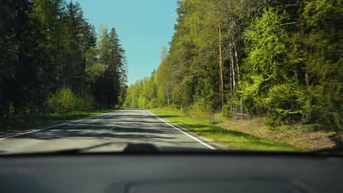 Desfrute de um passeio tranquilo e sereno por vastas florestas verdes exuberantes, uma viagem rodoviária panorâmica e pacífica