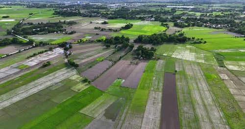 A fascinating and awe-inspiring sight to behold, with vast rice fields stretching as far as the eye