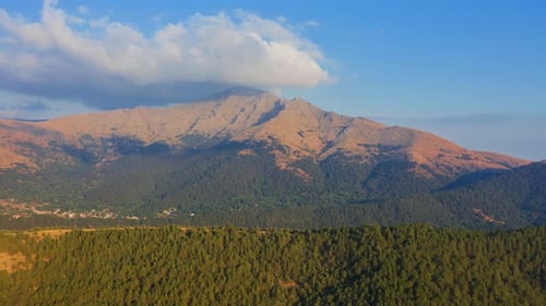 Lush Forest and Mountain Landscape Aerial