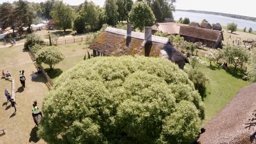 festival, an artisan market in an open-air museum, lots of people