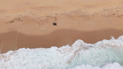 Top-Down Drone Shot Reversing Over Fort Ord Beach