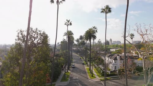 The Beautiful and Charming Neighborhood in Beverly Hills Located in Los Angeles California