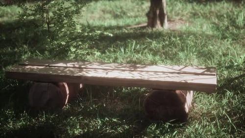 in Nature Next to the Road and Among the Trees is a Bench